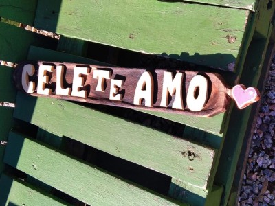 Imagen de galeria 0