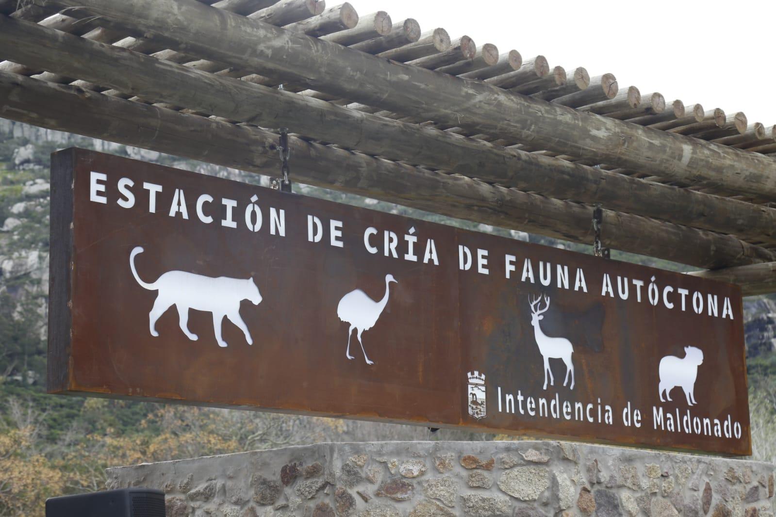 Imagen de galeria 0