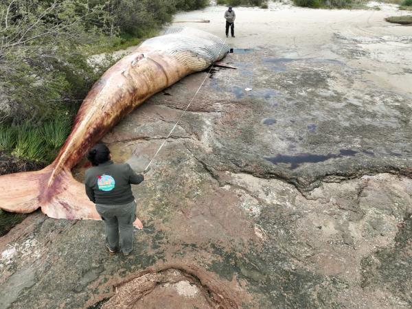 Imagen de galeria 0