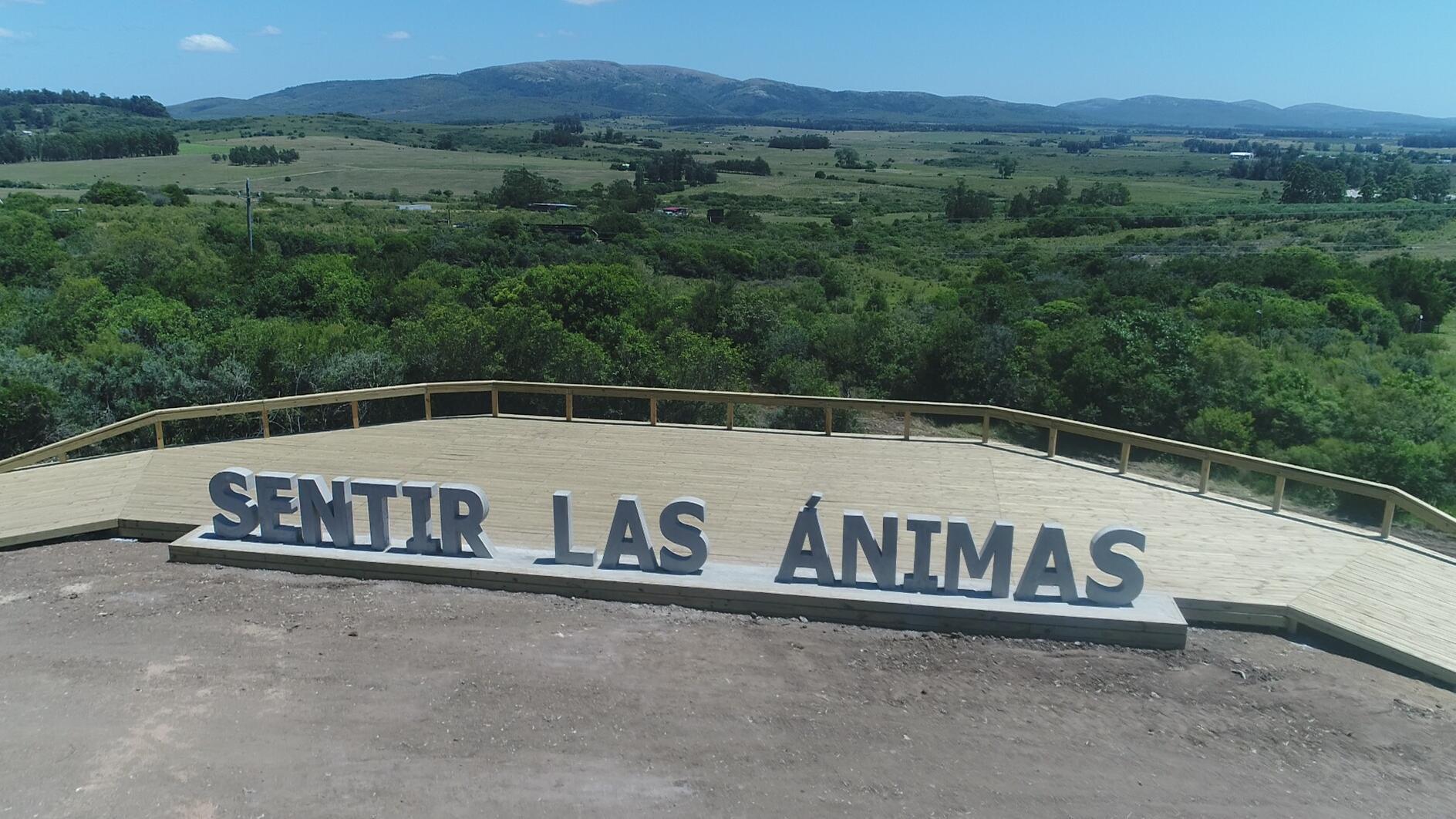 Imagen de galeria 0