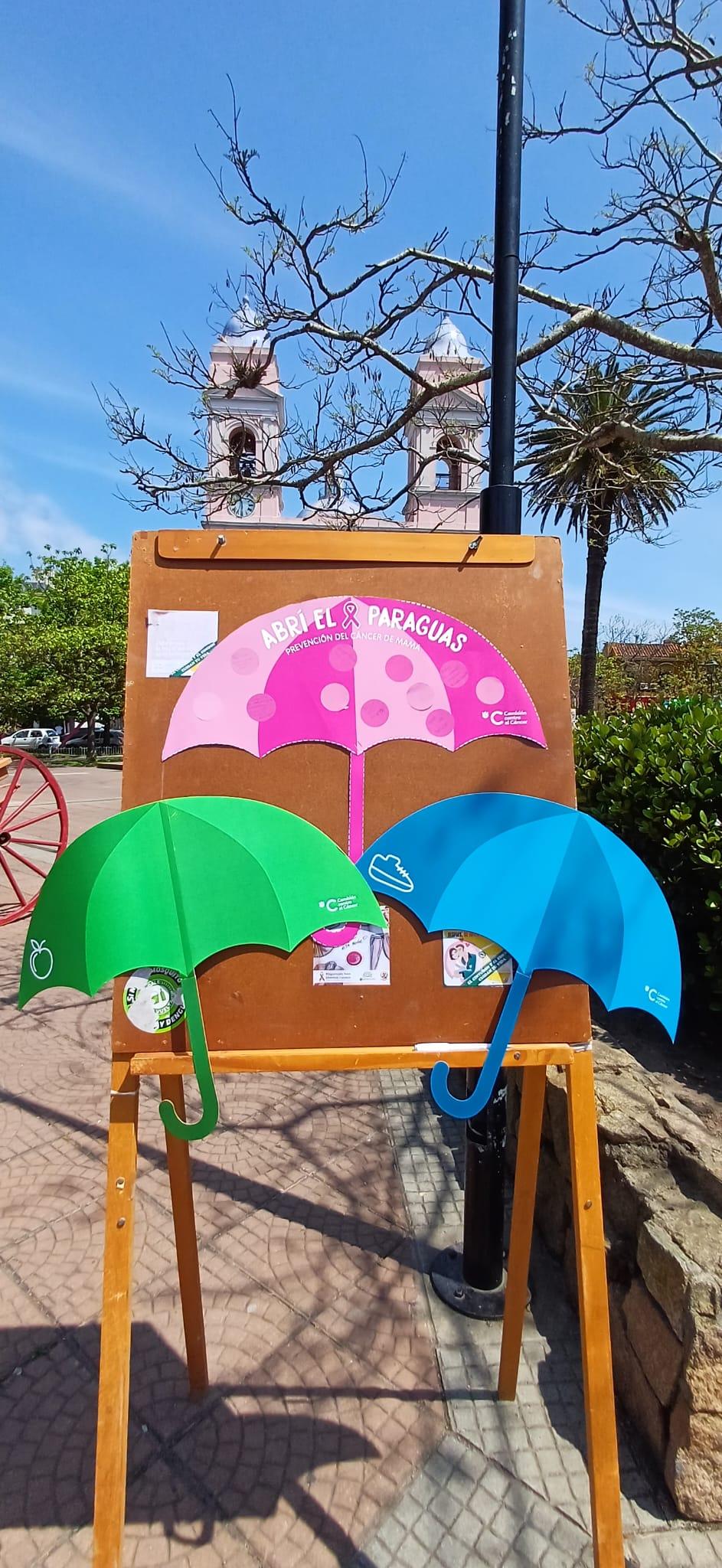 Imagen de galeria 0
