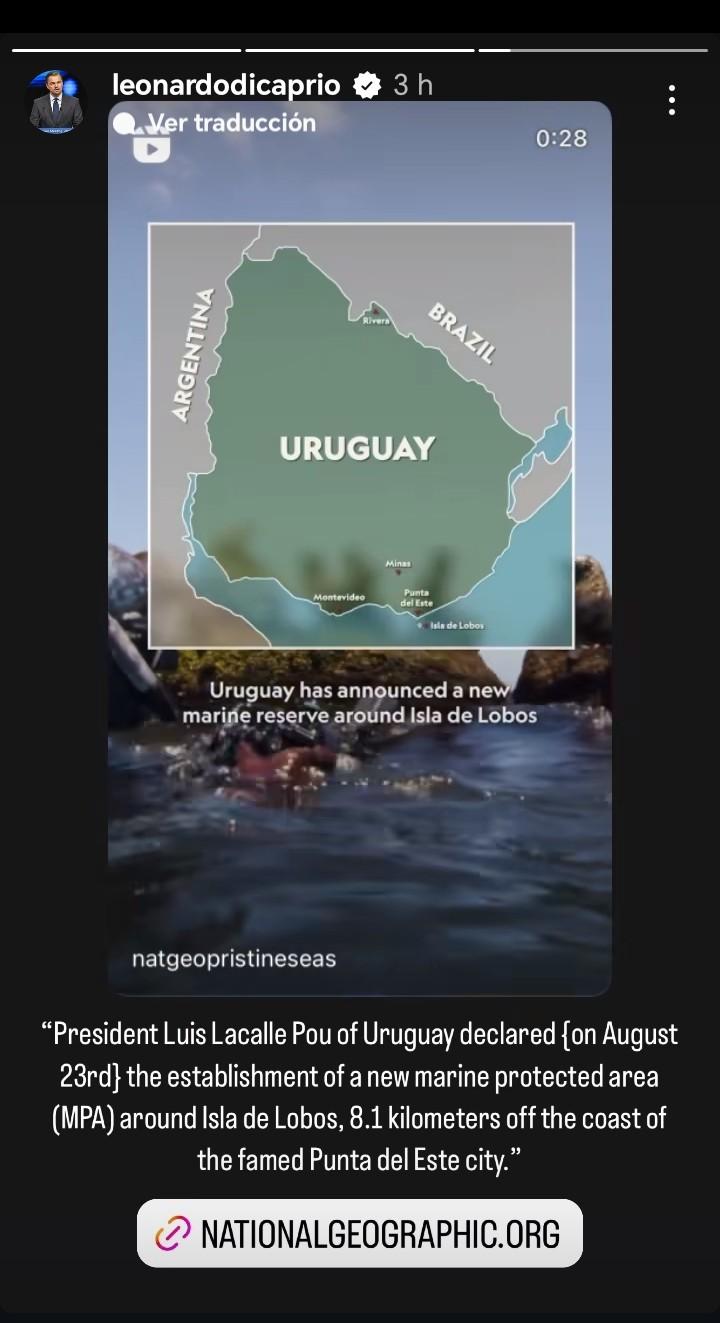 Imagen de galeria 0