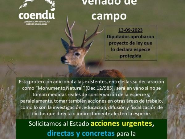 Imagen de galeria 0