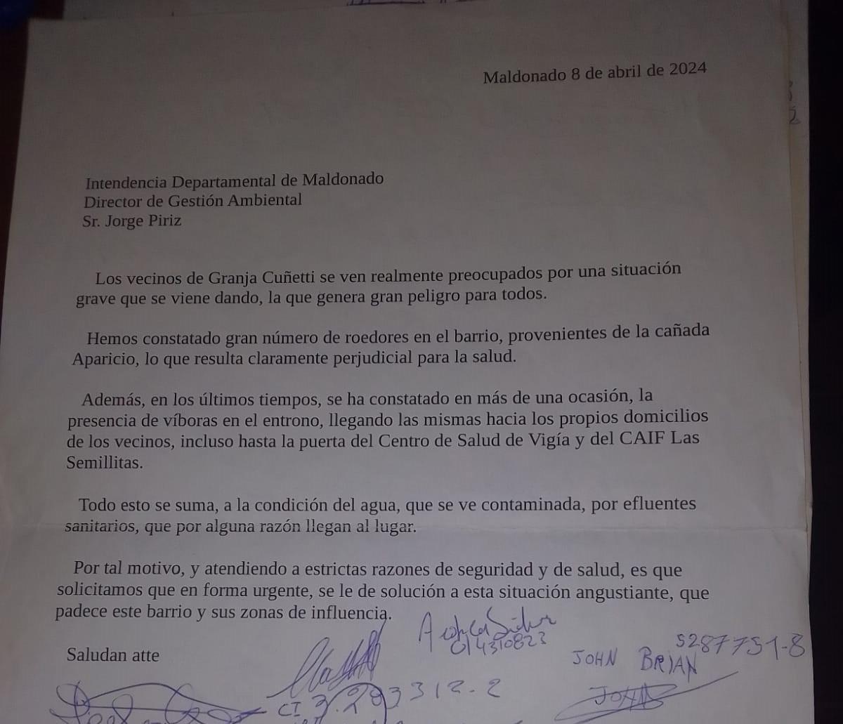 Imagen de galeria 0