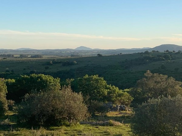 Robos en Sierras de Carapé llevan a que vecinos organicen "patrullas gauchas"