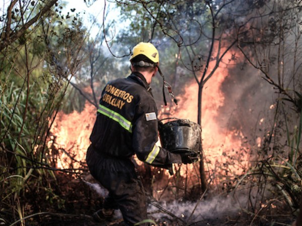 CECOED intensificó medidas ante la ola de calor y el alto riesgo de incendio