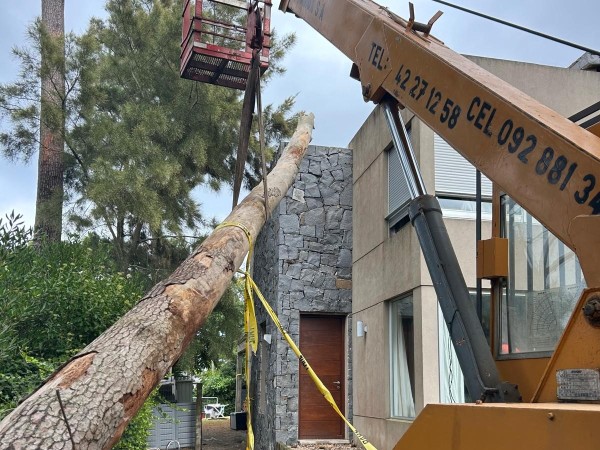 La caída de un árbol en una vivienda de Pinares obligó a las autoridades a utilizar una grúa para retirarlo
