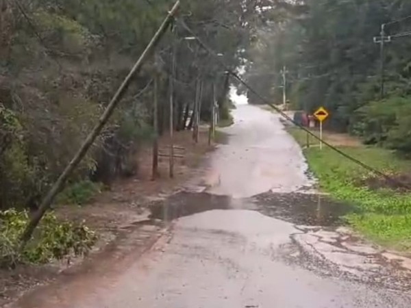 Daños por el temporal: cayó una columna del alumbrado público y se desprendió el cartel de un comercio
