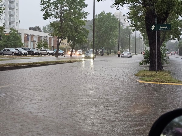 Cecoed advierte por peligrosidad en el tránsito ante intensas precipitaciones; informa sobre puntos complejos