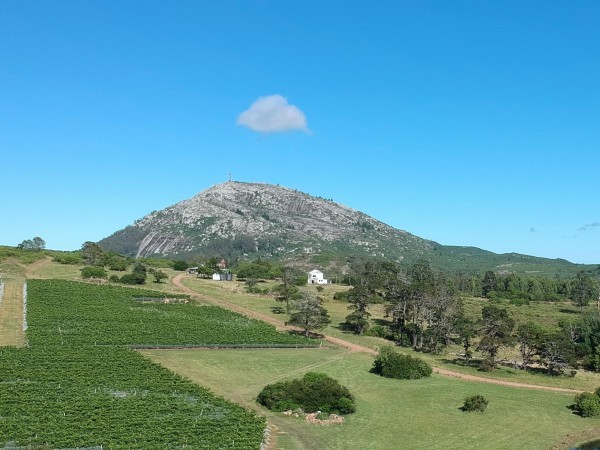 El ascenso al cerro Pan de Azúcar estará cerrado este fin de semana por invasión de mosquitos y malas condiciones de circulación