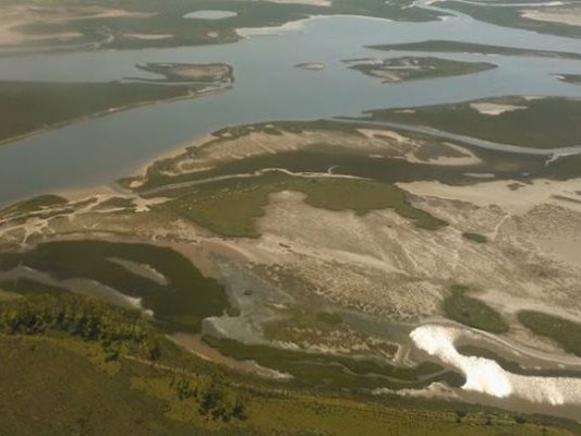 Polémica por pista de picadas sobre el humedal del arroyo Maldonado: presentaron pedido de informes