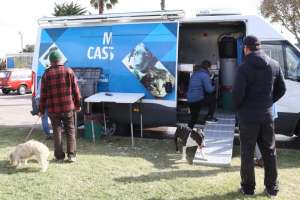 Se inician castraciones caninas gratuitas en Solís, San Carlos y Maldonado